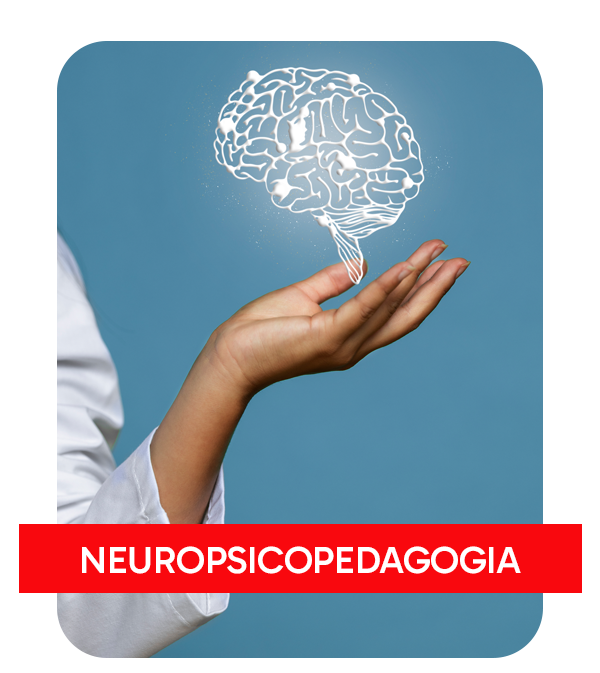 imagemNEUROPSICOPEDAGOGIA